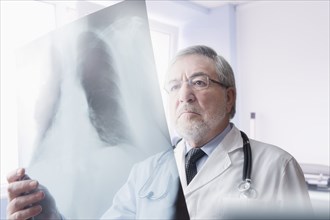 Hispanic doctor reading x-rays in hospital