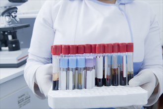 Hispanic scientist holding blood samples in test tube rack in laboratory