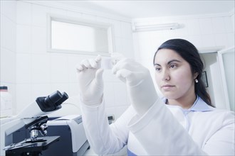 Hispanic scientist examining blood sample in laboratory