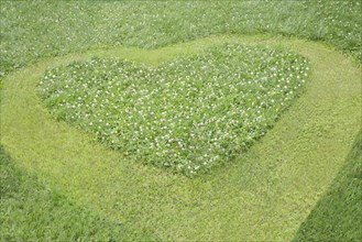 High angle view of heart mowed in grass lawn