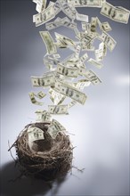 Dollar bills leaving nest