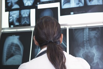 Hispanic doctor examining x-rays in hospital