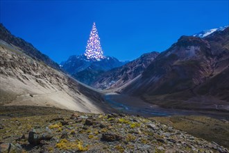 Distant Christmas tree on mountain