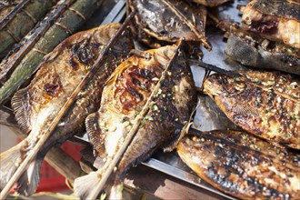Grilled fish in market