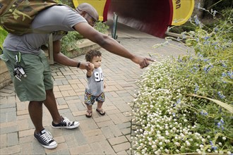 Father and toddler examining plants in park