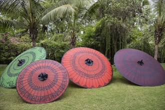 Traditional parasols in backyard
