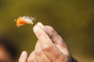 Hand holding fly fishing lure