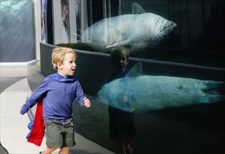 Caucasian boy running in aquarium near swimming seals