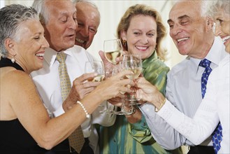 Senior couples toasting at party