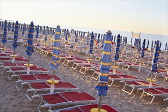 Umbrellas and beach chairs in a row on beach