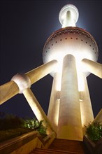 Oriental Pearl Tower lit up at night