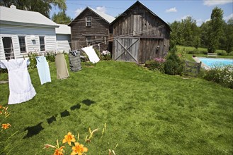 Clothesline and green lawn in backyard