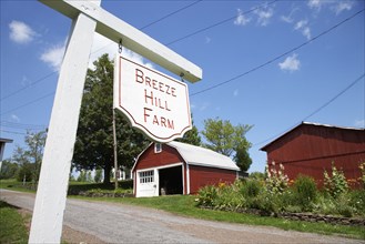 'Breeze Hill Farm' sign on rural road