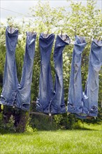 Jeans hanging from clothesline