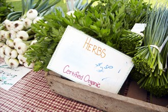 Organic herbs for sale in market
