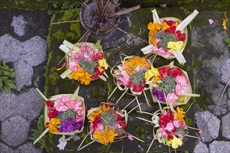 Close up of flower trays