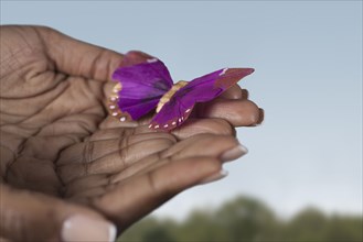 Black woman's hands holding purple butterfly