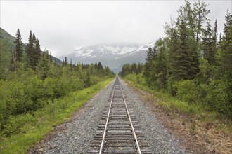 Train tracks in rural landscape
