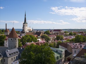 High angle view of Tallinn cityscape