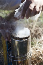 Close up of beekeeper using smoke for beehive