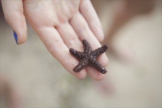 Caucasian girl holding starfish