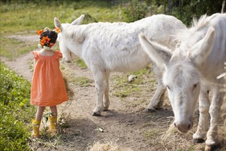 Caucasian girl playing with donkeys on dirt road