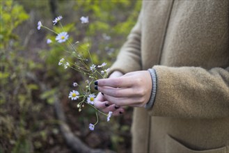 Close up of hands of woman holding flowers