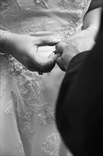 Close up of bride putting wedding ring on finger of groom