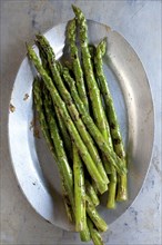 Close up of plate of grilled asparagus