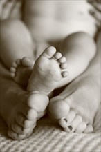 Close up of bare feet of mother and baby