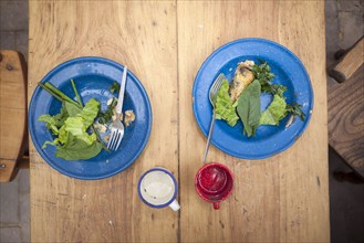 High angle view of plates of greens on table