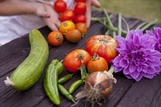 Mixed race woman gathering vegetables and flowers