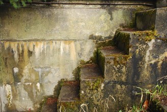 Close up of mossy concrete staircase