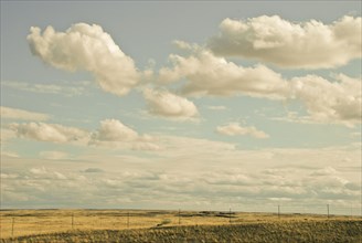 Fenced fields in rural landscape