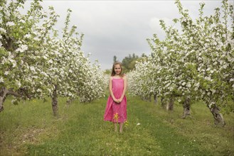 Caucasian girl standing in blooming orchard