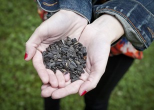 Close up of hands of woman holding seeds
