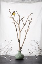 Butterfly perching on branches in ceramic vase