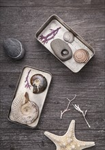 Tins of collected seashells and pebbles