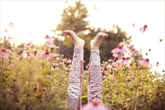 Legs of girl sticking up in wildflowers