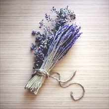 Close up of bunch of lavender flowers