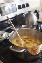 Wooden spoon in pot of broth