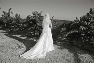 Bride wearing wedding dress in rural vineyard