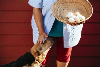 Hispanic farmer with basket of eggs petting dog