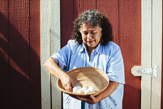 Hispanic farmer counting fresh eggs in basket
