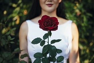 Korean bride smiling behind red rose