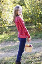 Caucasian girl picking fruit in orchard