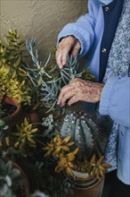 Older mixed race woman caring for potted plants