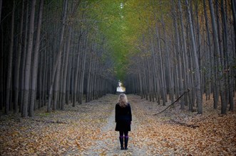 Caucasian woman standing on path between trees