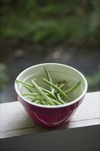 Close up of bowl of green beans