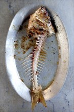 Plate of grilled fish skeleton